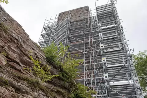 Das Gerüst um den 20 Meter hohen Turm von Burg Scharfenberg ist fast fertiggestellt. In drei Wochen beginnen die Arbeiten am Mau