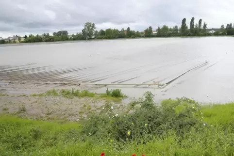 Nach dem Jahrhundertregen im Mai 2016 standen die Felder bei Dannstadt-Schauernheim unter Wasser.