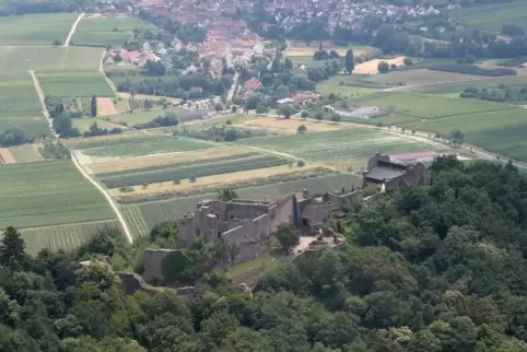 madenburg1
