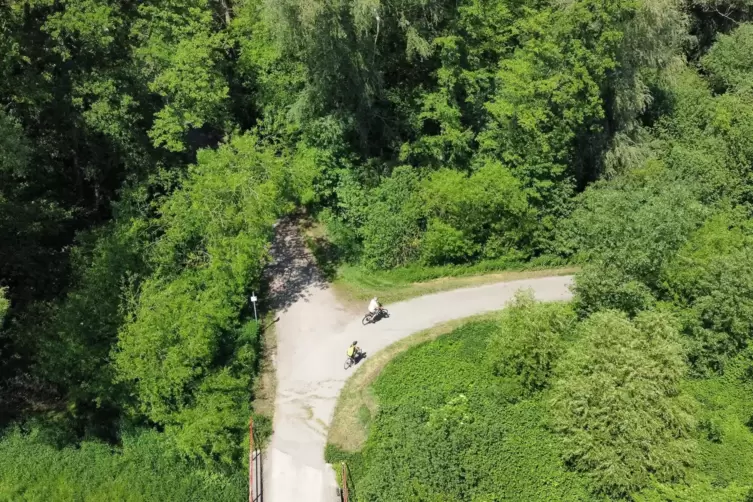 Hier entdeckte vor 40 Jahren ein Fahrradfahrer die Leichen zweier Teenager-Mädchen: Waldstück bei Bellheim. 