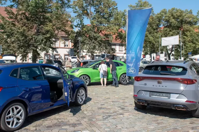 E-Auto, Hybrid oder doch lieber ein Benziner fragen sich viele Kunden.