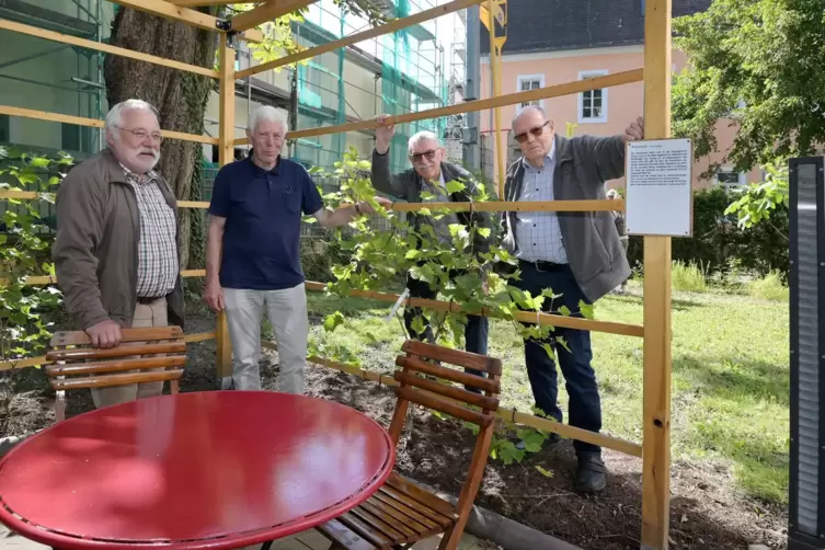 Am Weinstock im Bibelgarten: die „Macher“ Günther Hocke, Rainer Bischof, Gerd Meyer und Rudi Cesinger (von links).