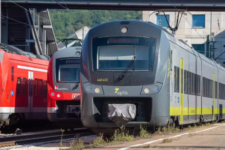 VRN-Jahrestickets gelten im September zwei Wochen lang deutschlandweit. Das Foto zeigt Züge der Deutschen Bahn und des Unternehm