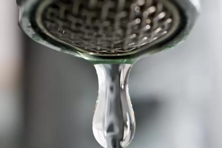 Das Wasser sollte im betroffenen Bereich mindestens zehn Minuten lang abgekocht werden, raten die Werke. 