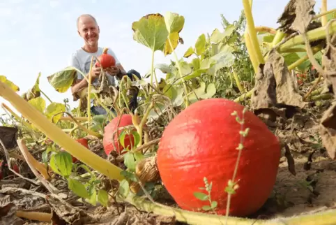 Gemüseanbauer Ralf Gensheimer aus Offenbach baut unter anderem Kürbisse und Zucchinis an.