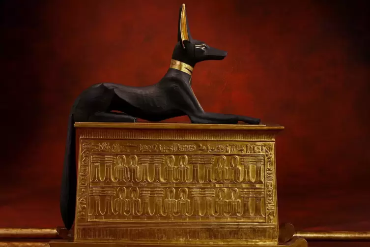 Tierischer Totengott: Anubis auf dem Sarkophag.