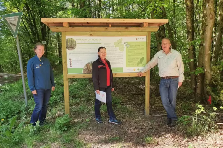 Kümmern sich um den künftigen Urwald im Naturwaldreservat Langendell bei Heltersberg: Friedericke Weber, Patricia Balcar und Bur