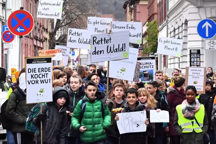 Eine Demo der Friday for future-Bewegung im November 2019 in Neustadt. 