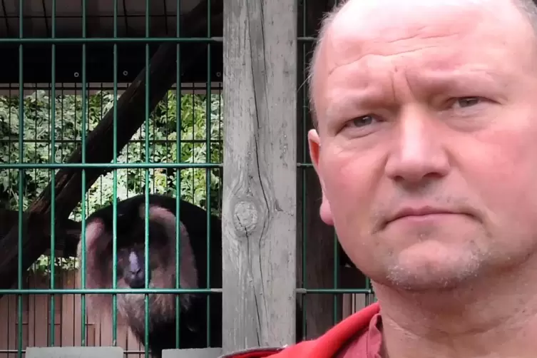 Möchte seinen Makaken (im Hintergrund ein Artgenosse) gerne wiedersehen: Andreas Spieß, Betreiber des Exoten-Zoos in Rockenhause