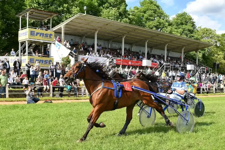 Zwei Trabrennen gehören zum Jubiläumsrenntag. Sie haben Tradition in Zweibrücken, schon im 19. Jahrhundert waren die Traber auf 