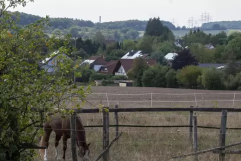 Noch ist das Neubaugebiet ein Feld. Zukünftig sollen hier Häuser stehen, die durch Erdwärme geheizt werden. 