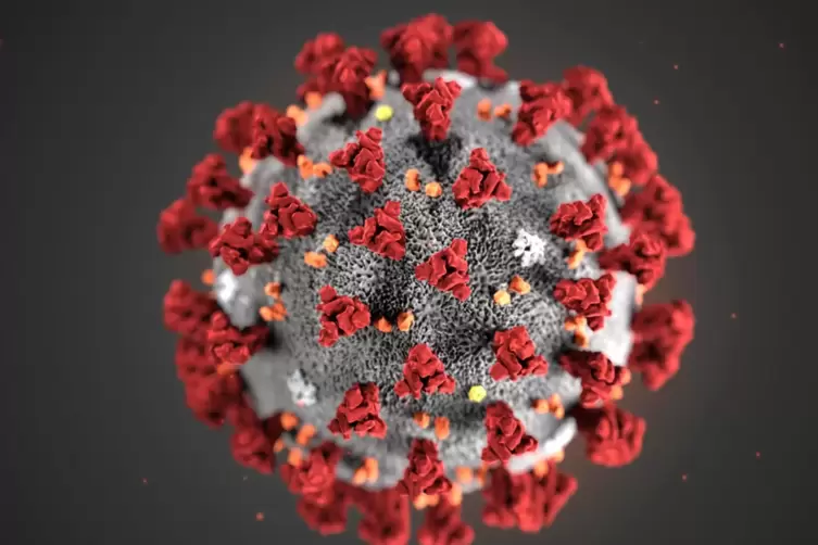 Ein Modell des Coronavirus’. 