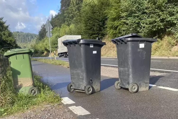 Nach seinem Sturz im August 2020 hat Markus Keim eine Aufnahme von den Mülltonnen gemacht, die auf dem Radweg standen und denen 