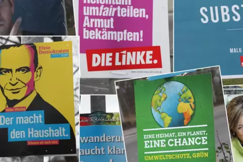 Wahlplakate sind derzeit häufig Zielscheibe von Vandalismus. Komplett entfernt werden sie eher selten. 