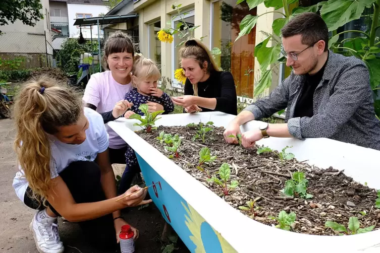 Die Zweibr&uuml;cker Stadtg&auml;rtnerinnen bewirtschaften in der Gabelsbergerstra&szlig;e einen Innenstadtgarten (von links): Ina Stenger, Yann