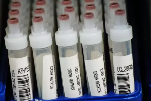 Kunststoffröhrchen mit Corona-Abstrichen stehen nach PCR-Tests im Großlabor. 