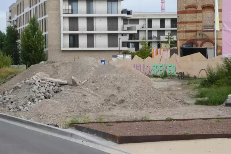 Kirrmeier-Stra&szlig;e: scharfkantiges Beet nah an der Stra&szlig;e.