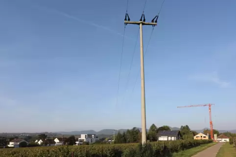 Die Pfalzwerke verlegen diese Leitung auf einer größeren Strecke in die Erde, als es für das Neubaugebiet nötig wäre. 