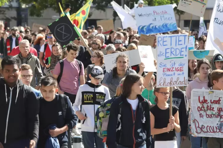 Im September 2019 waren rund 1000 Menschen zur Fridays-for-Future-Demo in Landau auf die Straßen gegangen (unser Bild). 
