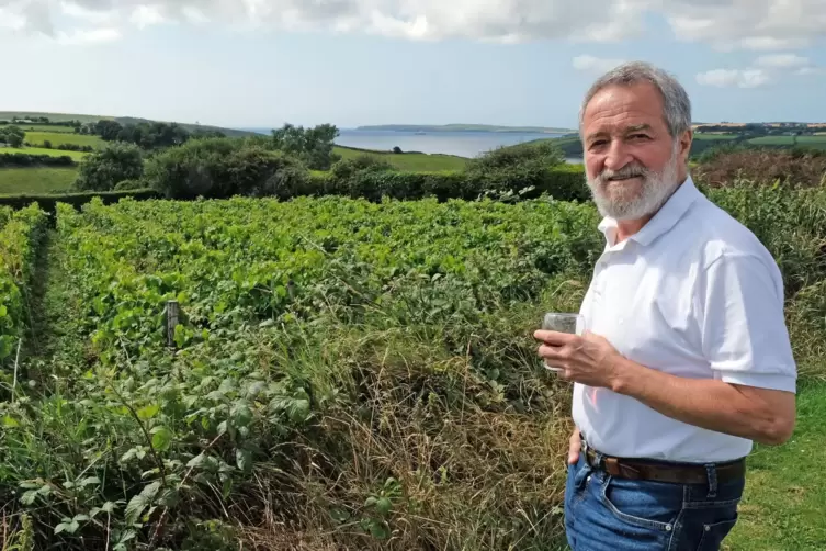 Der Thomas Walk Vineyard liegt in Kinsale, etwa eine halbe Stunde s&uuml;dlich von Cork, direkt an der K&uuml;ste. 