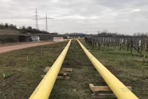 Das Homburger Unternehmen Creos erneuert seine Gasleitungen in den Wäldern zwischen St. Ingbert, Spiesen, Rohrbach und Neunkirch