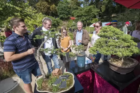 Besonderes Grün: Der Bonsai-Experte Harald Kempf (zweiter von links) erklärt den Gästen Stephen Herbold (links), Sabrina Lehmann