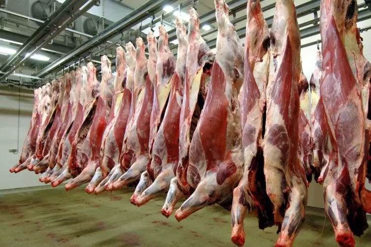  In Schlachtereien wird Kohlendioxid eingesetzt, um Tiere vor der Schlachtung zu betäuben und ihr Fleisch hinterher vakuumdicht 