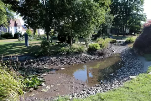 Das Wasser in dem Teich wurde abgelassen.