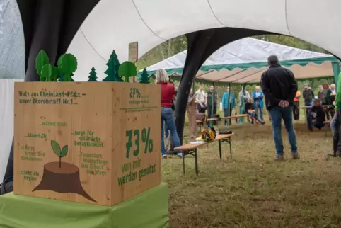 Mit Hilfe von Sponsoren, der Gemeinde und dem Forstamt Hinterweidenthal soll in Schwanheim ein neuer Mischwald entstehen, um für