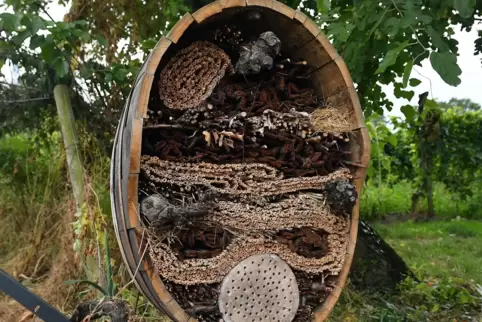 Insektenhotel im alten Weinfass. 