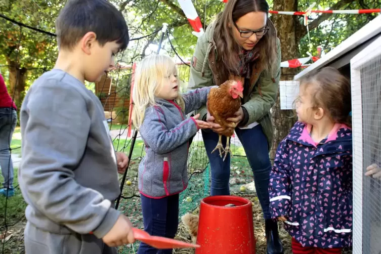 Tamara Trodler mit Huhn und Kita-Kindern in Aktion.