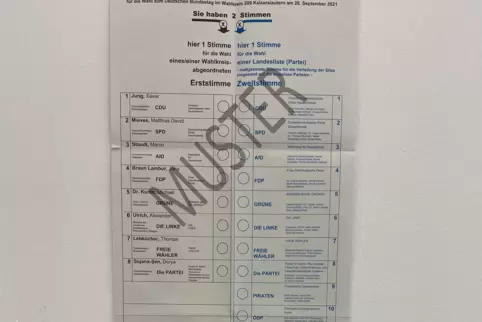 Fast die Hälfte aller Wahlberechtigten im Donnersbergkreis hat ihren Stimmzettel bereits in Händen gehalten. Fast die Hälfte aller Wahlberechtigten im Donnersbergkreis hat ihren Stimmzettel bereits in Händen gehalten.