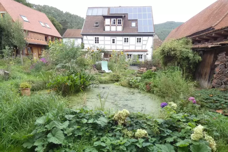 Zwei Naturteiche hat Gartenbesitzerin Maren Diehl selbst angelegt. 