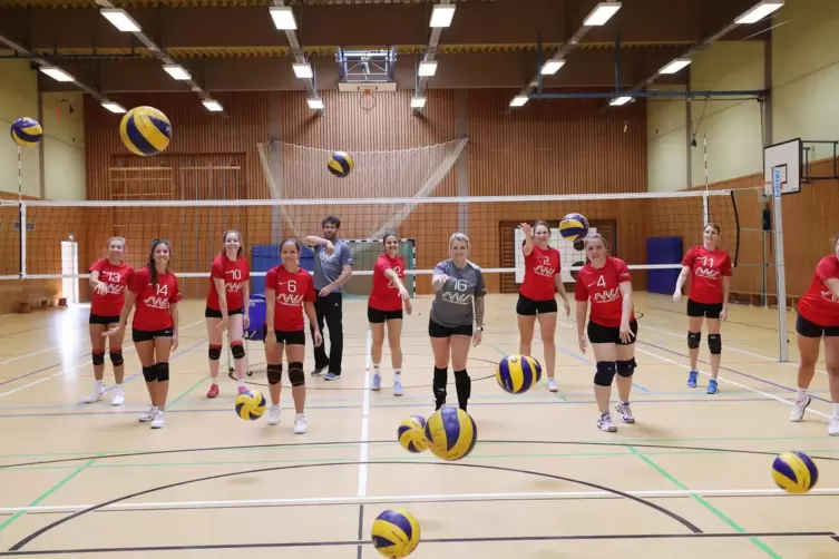 Besser hätte es kaum losgehen können: Speyers Volleyballerinnen.
