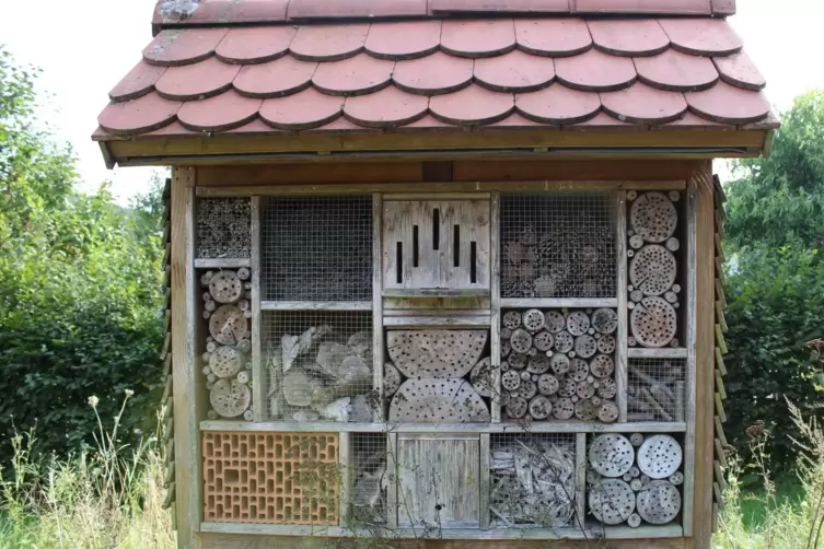 Aufgerissenes Holz ist gef&auml;hrlich f&uuml;r Bienenfl&uuml;gel: Das Insektenhotel in Bruchweiler am Radweg ist nicht mehr sicher. Eine Moder
