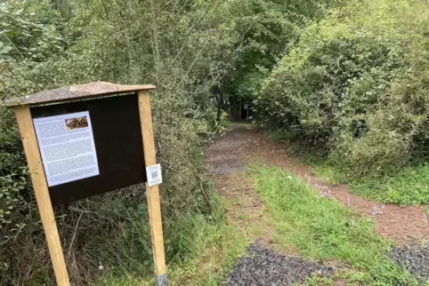 Die Natur genießen und dabei etwas lernen: Diese Kombination bietet der neue Bienenlehrpfad. Auf 16 Schautafeln erfährt der Besu