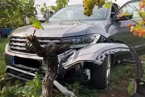 Das Auto landete nach dem Unfall im Wingert.
