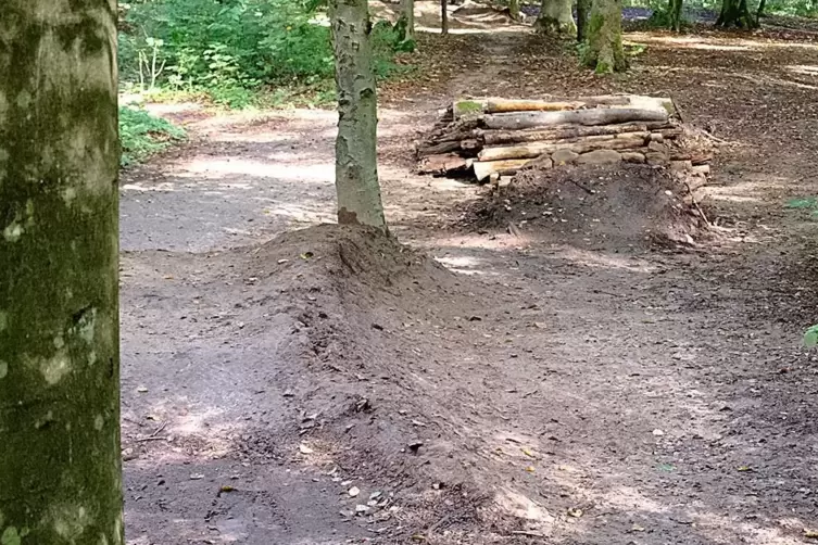 Ein Teil der Strecke mit Spr&uuml;ngen.
