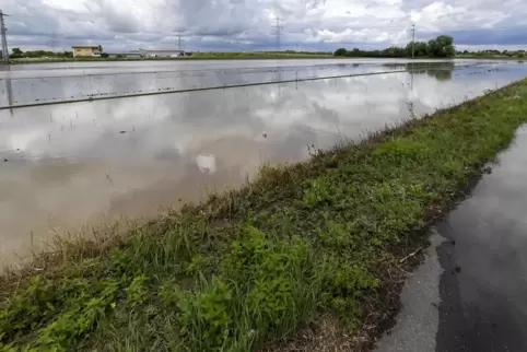 Im Juni wurden mal wieder die Lambsheimer Felder zwischen Brandweg und Ortsumgehung überschwemmt. Wo soll das Wasser künftig hin