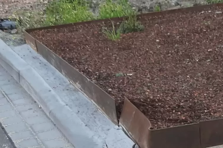 Stadt vermutet Lastwagen als Ursache: Schadensbild am Beet.