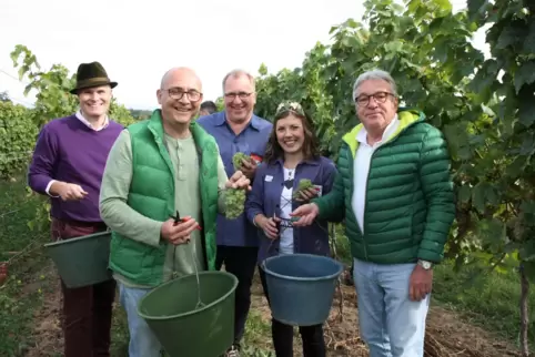 Bei der Arbeit: Matthias Steffan, René Pöltl, Torsten Bechtel, Weinprinzessin Svenja und Manfred Bühler (von links).