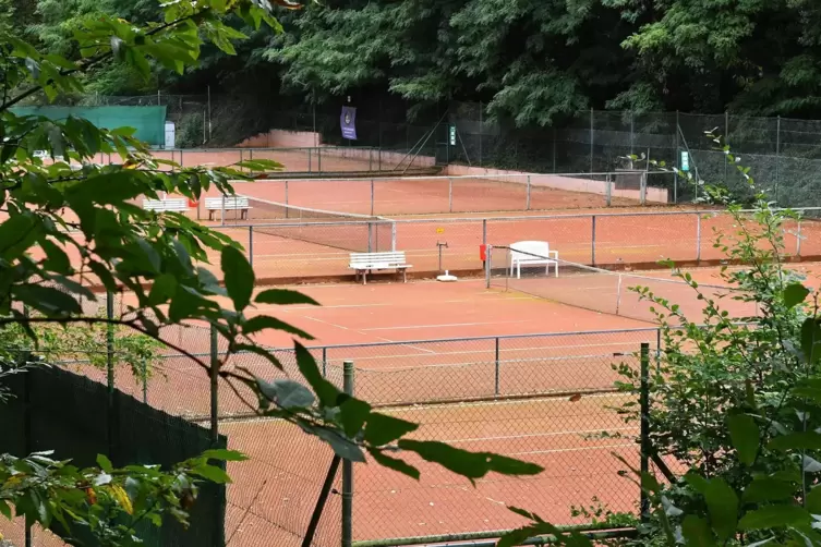 Tennis im Burgtal: Zu Hochzeiten hatte der TC Wachenheim 300 Mitglieder. Heute sind es etwa 180. 