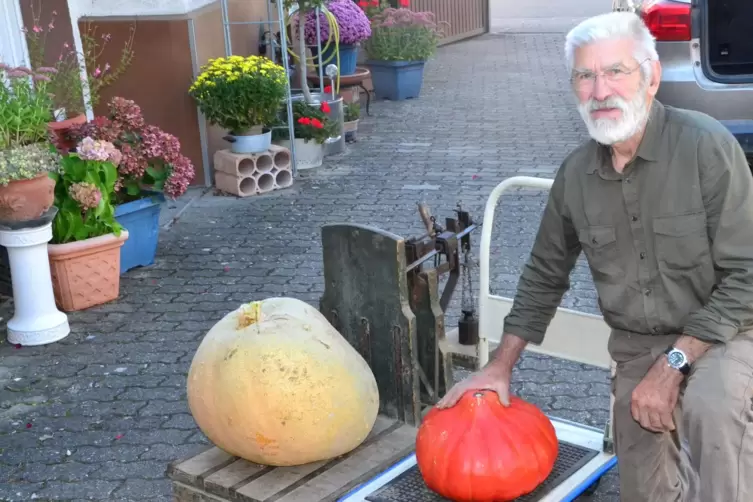 Zeigt die ersten Kürbisse bei der diesjährigen Gartenolympiade: Willi Aures aus Harthausen. Sie wiegen mehr als zehn Kilogramm.