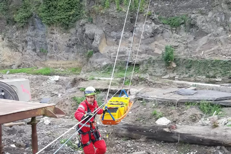 Die Facheinheit Höhenrettung der Feuerwehr Frankenthal spannte eine fast 200 Meter lange Seilbahn, auf der die Trauben vom Steil