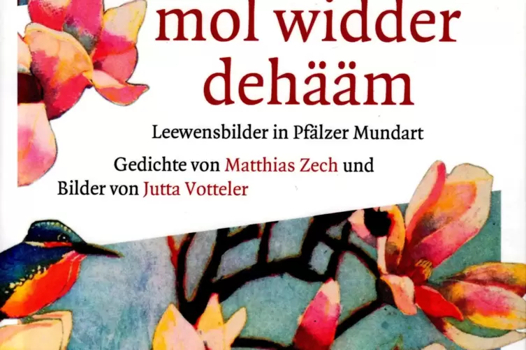 Detail des Covers