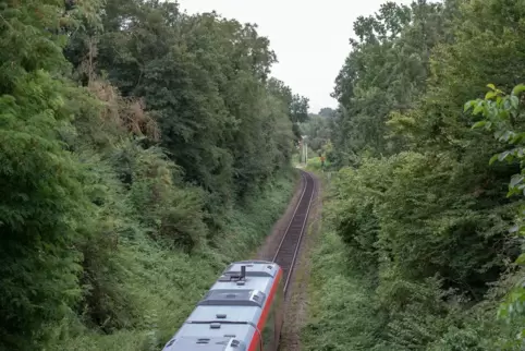 Die Schreiberin des Leserbriefs fordert ein Umsteigen auf die Bahn. 