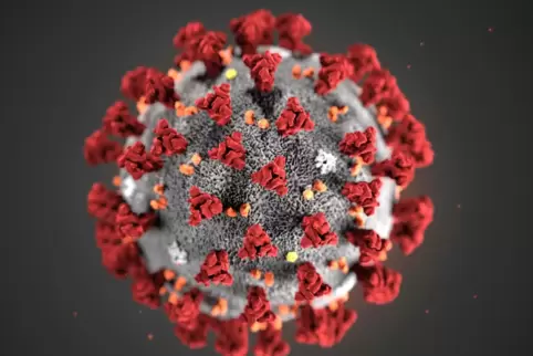 Das Virus im Modell.