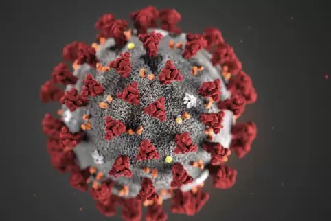 Das Virus im Modell.
