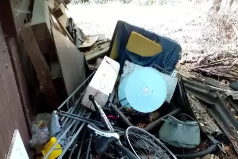 Illegal entsorgter Müll rund um eine Jagdhütte in Kandel. 
