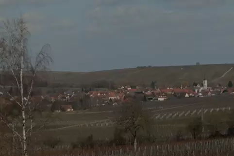 Blick auf Göcklingen.